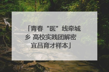 青春“医”线牵城乡 高校实践团解密宜昌育才样本