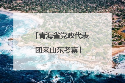 青海省党政代表团来山东考察