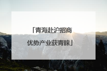 青海赴沪招商 优势产业获青睐