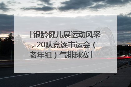 银龄健儿展运动风采，20队竞逐市运会（老年组）气排球赛