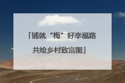 铺就“梅”好幸福路 共绘乡村致富图