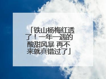 铁山杨梅红透了！一年一遇的酸甜风暴 再不来就真错过了