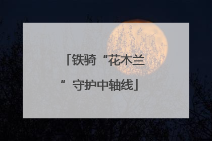 铁骑“花木兰”守护中轴线