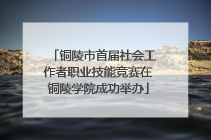铜陵市首届社会工作者职业技能竞赛在铜陵学院成功举办