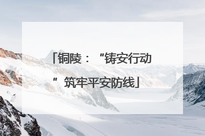 铜陵：“铸安行动”筑牢平安防线