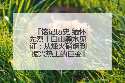 铭记历史 缅怀先烈丨白山黑水见证：从烽火硝烟到振兴热土的巨变