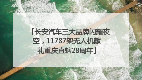 长安汽车三大品牌闪耀夜空，11787架无人机献礼重庆直辖28周年