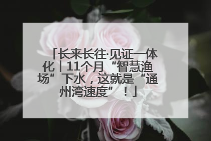 长来长往·见证一体化丨11个月“智慧渔场”下水，这就是“通州湾速度”！