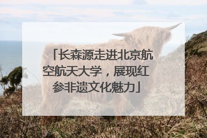 长森源走进北京航空航天大学，展现红参非遗文化魅力