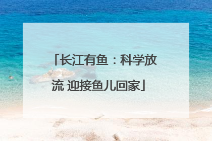 长江有鱼：科学放流 迎接鱼儿回家