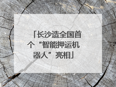 长沙造全国首个“智能押运机器人”亮相