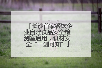长沙首家餐饮企业自建食品安全检测室启用，食材安全“一测可知”