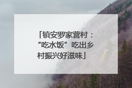 镇安罗家营村：“吃水饭”吃出乡村振兴好滋味