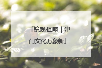 镜观·回响｜津门文化万象新