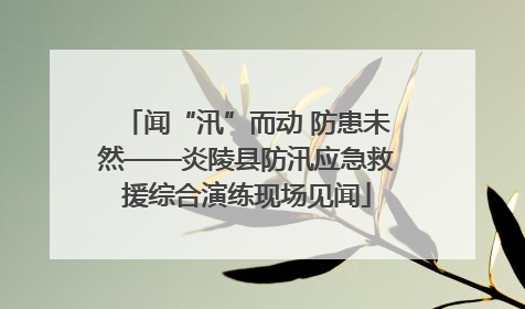 闻“汛”而动 防患未然——炎陵县防汛应急救援综合演练现场见闻