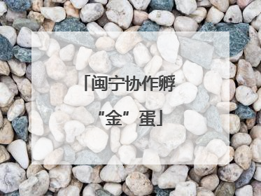 闽宁协作孵“金”蛋