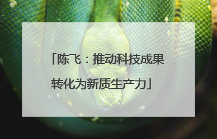 陈飞：推动科技成果转化为新质生产力