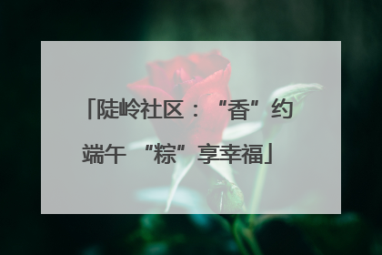 陡岭社区：“香”约端午 “粽”享幸福