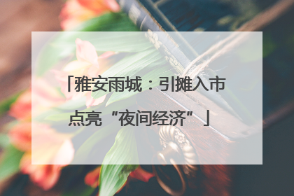 雅安雨城：引摊入市 点亮“夜间经济”