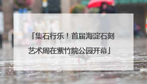 集石行乐！首届海淀石刻艺术周在紫竹院公园开幕