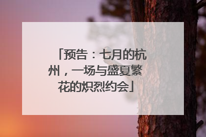 预告：七月的杭州，一场与盛夏繁花的炽烈约会