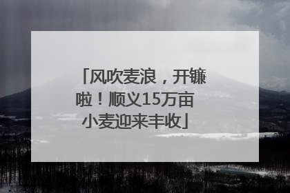 风吹麦浪，开镰啦！顺义15万亩小麦迎来丰收