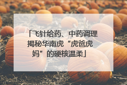 飞针给药、中药调理 揭秘华南虎“虎爸虎妈”的硬核温柔