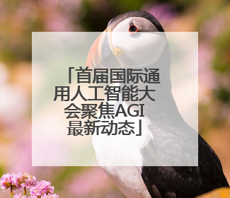 首届国际通用人工智能大会聚焦AGI最新动态