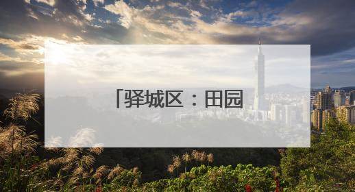 驿城区：田园瓜果香四溢 乡村产业谱新篇