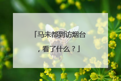 马未都到访烟台，看了什么？
