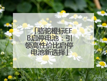 骆驼橙标EFB启停电池：引领高性价比启停电池新选择