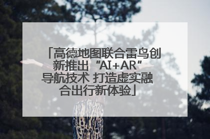 高德地图联合雷鸟创新推出“AI+AR”导航技术 打造虚实融合出行新体验