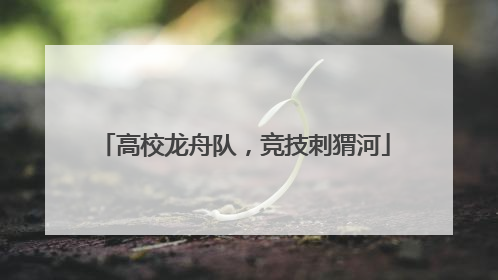 高校龙舟队，竞技刺猬河