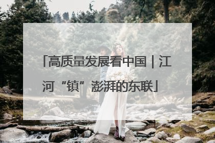 高质量发展看中国｜江河“镇”澎湃的东联