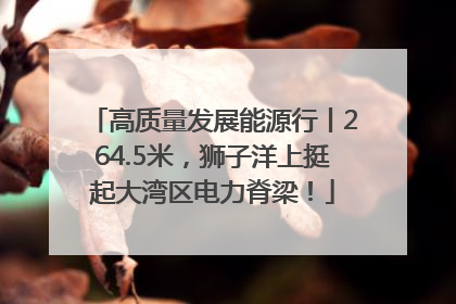 高质量发展能源行丨264.5米，狮子洋上挺起大湾区电力脊梁！
