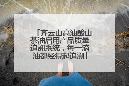 齐云山高油酸山茶油启用产品质量追溯系统，每一滴油都经得起追溯
