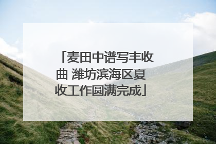 麦田中谱写丰收曲 潍坊滨海区夏收工作圆满完成