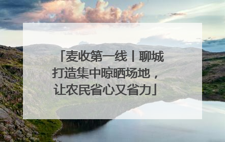 麦收第一线丨聊城打造集中晾晒场地，让农民省心又省力