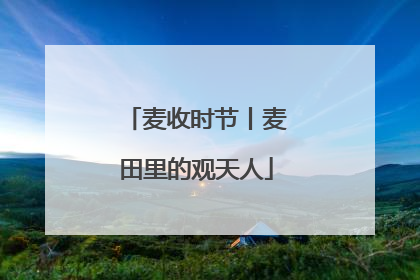 麦收时节丨麦田里的观天人
