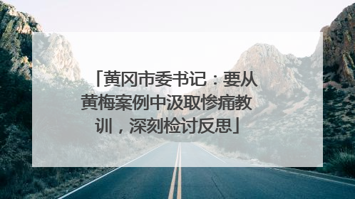黄冈市委书记：要从黄梅案例中汲取惨痛教训，深刻检讨反思