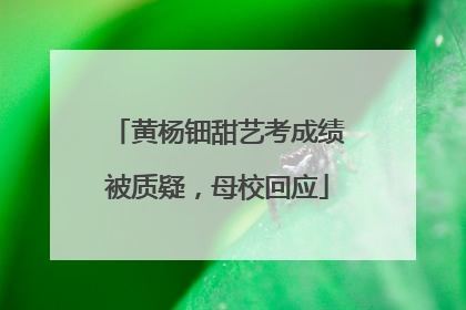 黄杨钿甜艺考成绩被质疑，母校回应