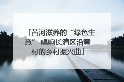 黄河滋养的“绿色生意” 唱响长清区沿黄村的乡村振兴曲