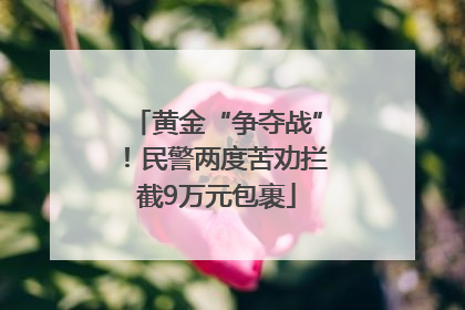 黄金“争夺战”！民警两度苦劝拦截9万元包裹