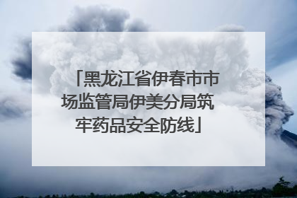 黑龙江省伊春市市场监管局伊美分局筑牢药品安全防线