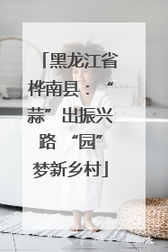 黑龙江省桦南县：“蒜”出振兴路 “园”梦新乡村