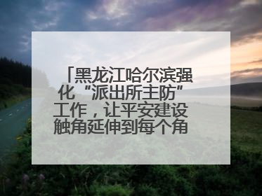 黑龙江哈尔滨强化“派出所主防”工作，让平安建设触角延伸到每个角落……