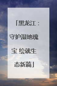 黑龙江：守护湿地瑰宝 绘就生态新篇
