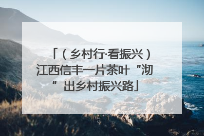 （乡村行·看振兴）江西信丰一片茶叶“沏”出乡村振兴路