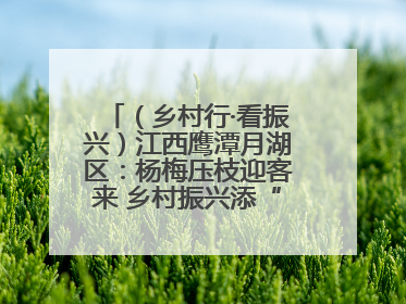（乡村行·看振兴）江西鹰潭月湖区：杨梅压枝迎客来 乡村振兴添“梅”景