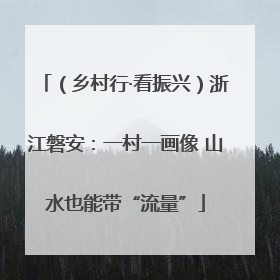 （乡村行·看振兴）浙江磐安：一村一画像 山水也能带“流量”